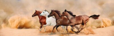 Im Sandsturm laufende Pferde