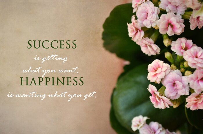 Fototapete Inspirierendes Zitat und Blumen