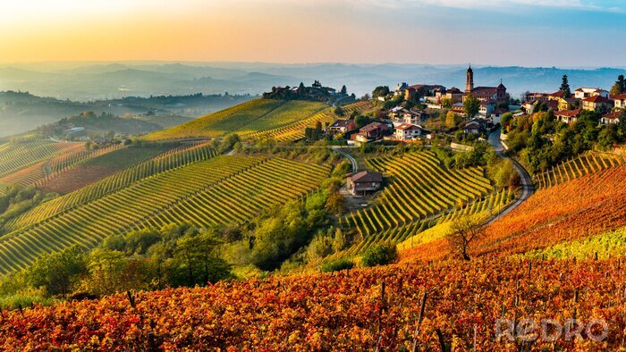 Fototapete Italienisches Dorf von der Langhe-Region in Italien