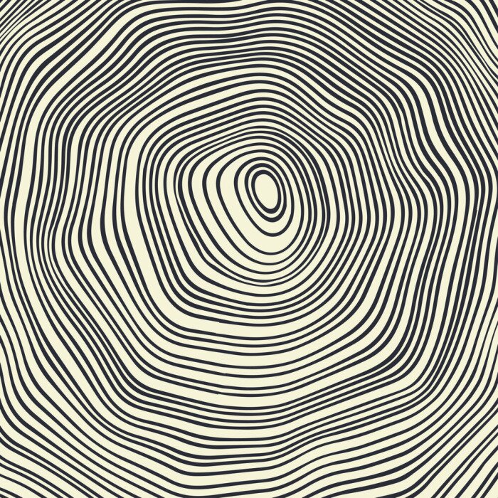 Fototapete Jahresringe auf Holz