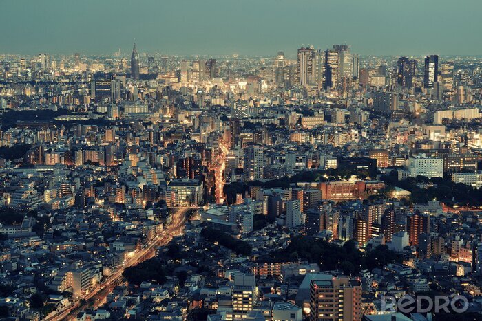 Fototapete Japan Asien nächtliches Tokio