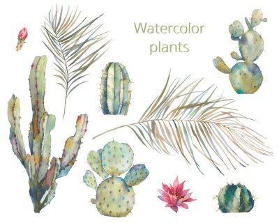 Kakteen und Blätter exotischer Pflanzen Illustration