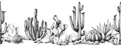 Fototapete Kaktuspfad