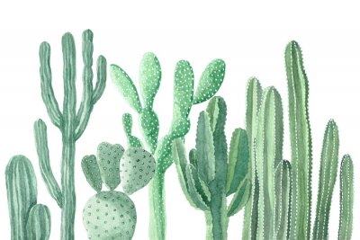 Fototapete Kaktuspflanzen in Aquarell gemalt