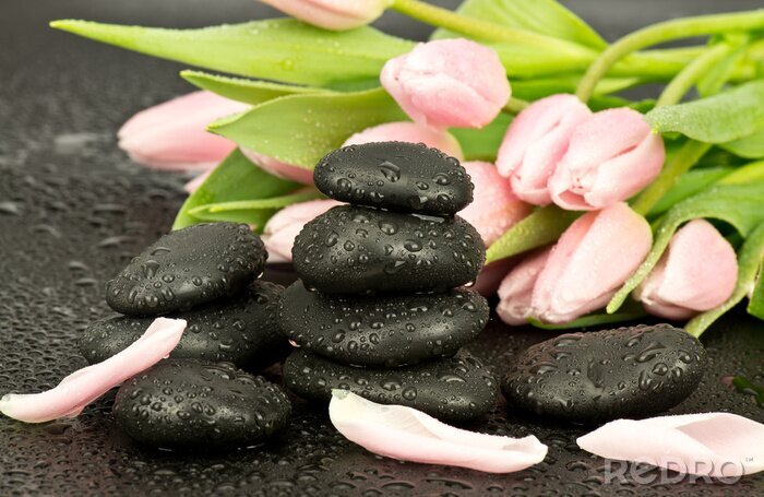 Fototapete Kamienie Spa