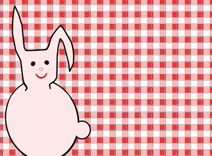 Fototapete Kaninchen auf kariertem Hintergrund