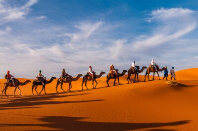 Fototapete Karawane in der Wüste