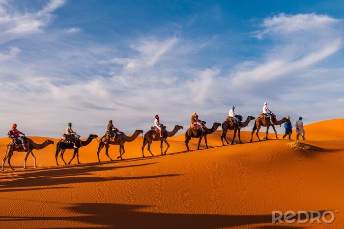 Fototapete Karawane in der Wüste