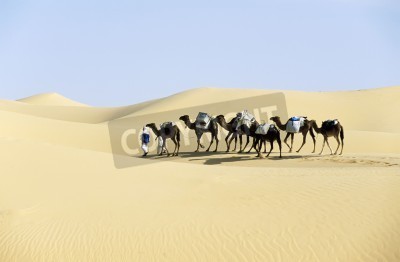 Fototapete Karawane in der Wüste in Afrika
