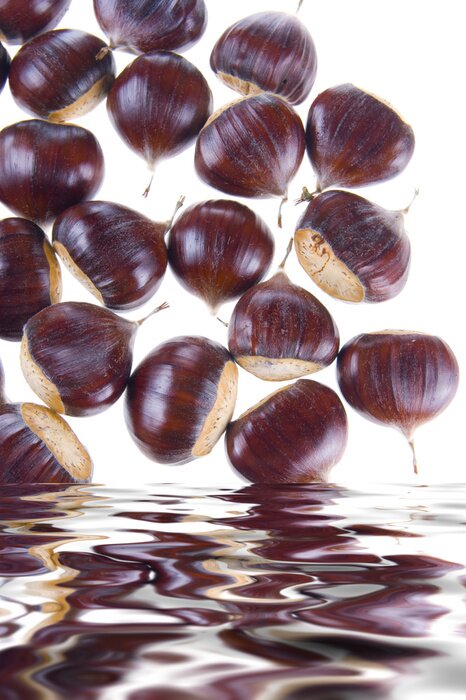 Fototapete Kastanien und Wasser