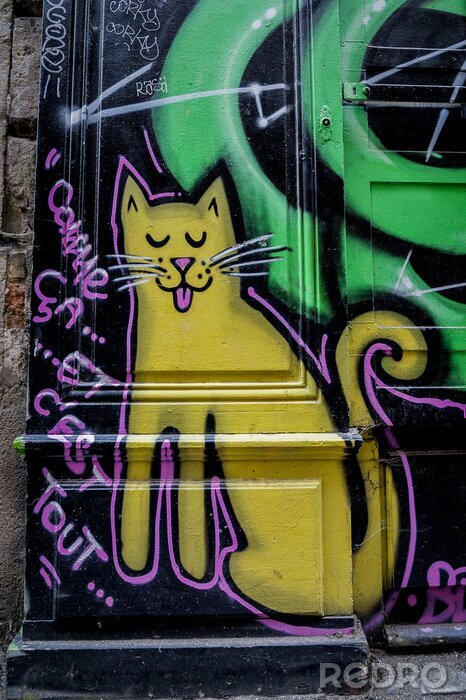 Fototapete Katze auf Graffiti