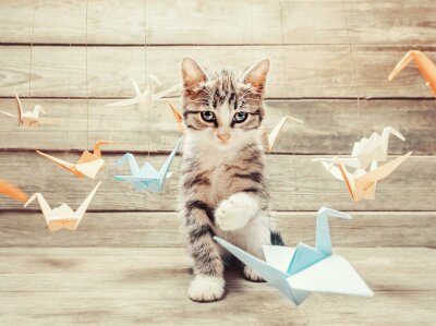 Fototapete Katze mit Papiervögeln