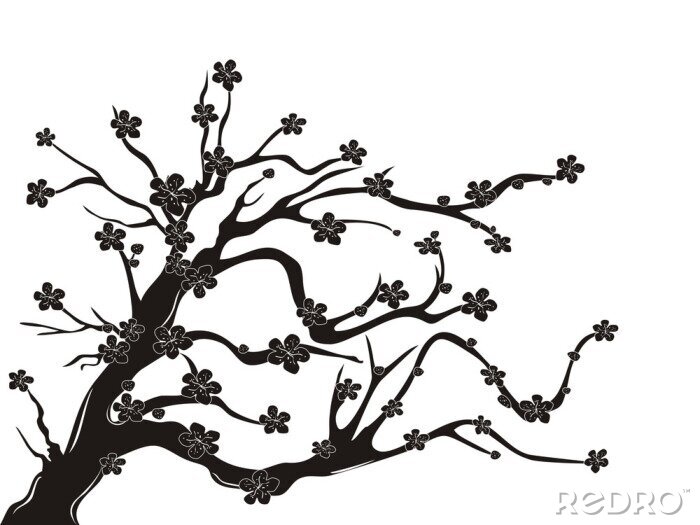 Fototapete Kirschblüte Baum Silhouette