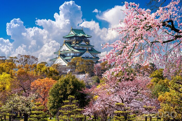 Fototapete Kirschblüten und japanisches Schloss