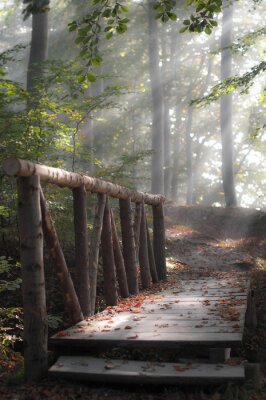 Fototapete Kleine Brücke im Wald