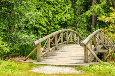 Fototapete Kleine Holzbrücke im Wald