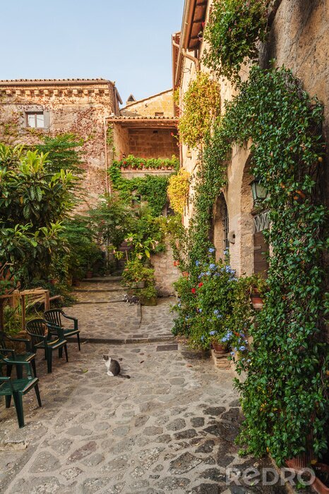 Fototapete Kleine Katze auf sonniger Gasse
