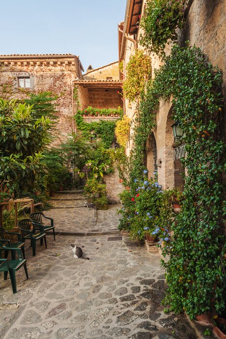 Fototapete Kleine Katze auf sonniger Gasse