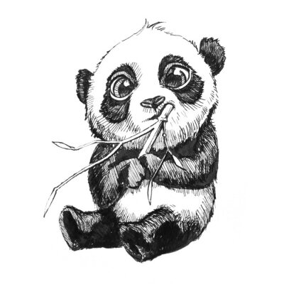 Kleiner Panda mit Bambus
