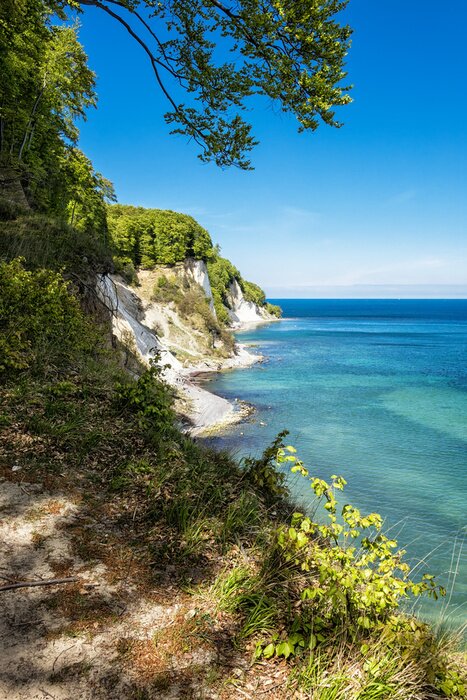 Fototapete Klippen und Pflanzen am Meer