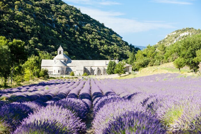 Fototapete Kloster Berge und Lavendel
