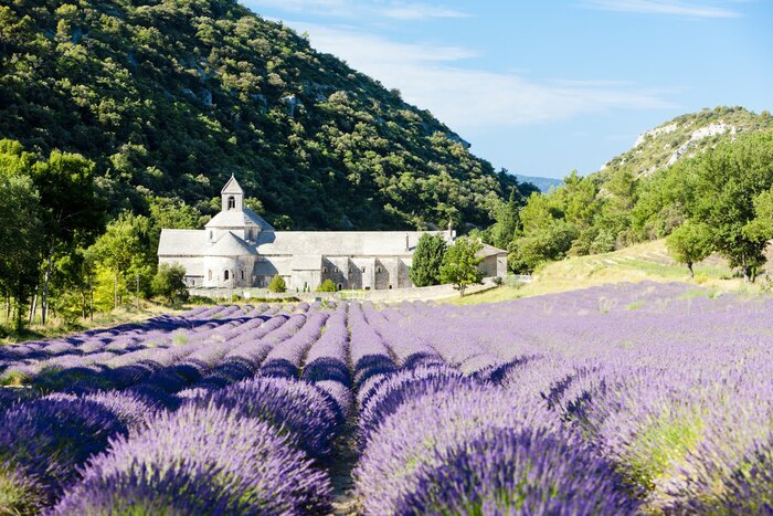 Fototapete Kloster Berge und Lavendel