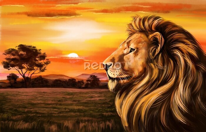 Fototapete König der Tiere vor der Kulisse eines wunderschönen Sonnenuntergangs