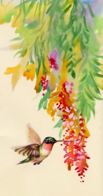 Fototapete Kolibri im Anflug auf die Blumen