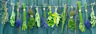 Fototapete Komposition aromatischer Kräuter auf Brettern