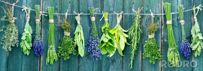 Fototapete Komposition aromatischer Kräuter auf Brettern