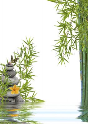 Komposition aus Bambus Blumen und Wasser