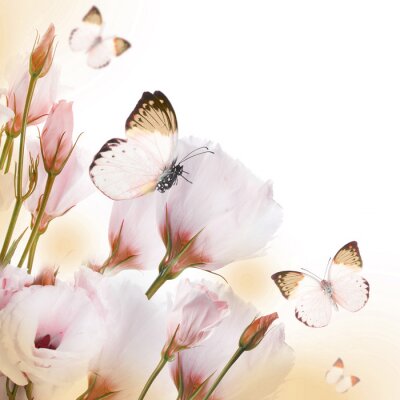 Fototapete Komposition aus Rosen und Schmetterlingen