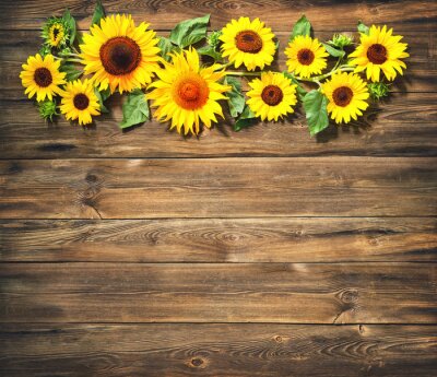  Komposition aus Sonnenblumen auf Holz