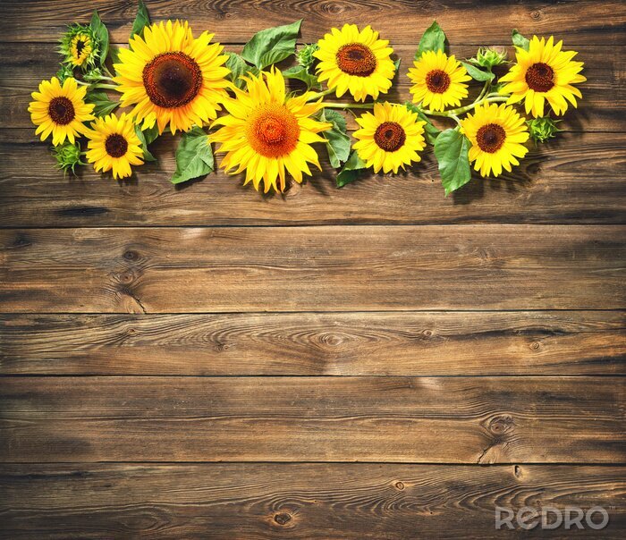Fototapete Komposition aus Sonnenblumen auf Holz