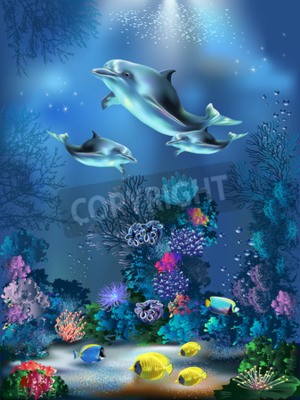 Fototapete Korallen und drei Delfine