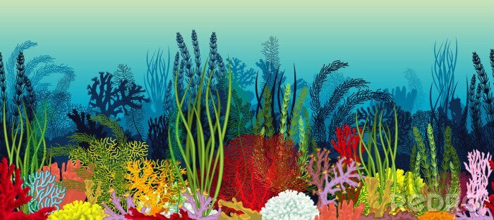 Fototapete Korallenriff 3D grafisch