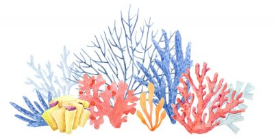 Fototapete Korallenriff auf weißem Hintergrund