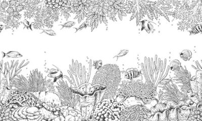 Fototapete Korallenriff in Schwarz und Weiß