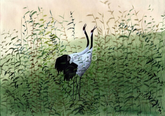 Fototapete Kräne unter hohem Gras