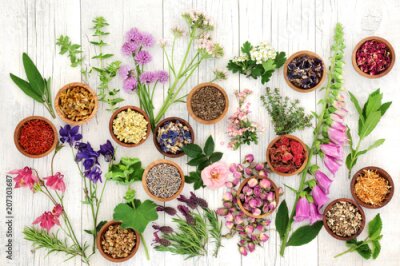 Fototapete Kräuter und Gewürze auf einem hölzernen Hintergrund