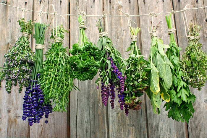 Fototapete Kräuter zum Trocknen