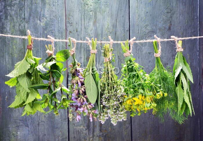 Fototapete Kräutersträuße auf Holzhintergrund