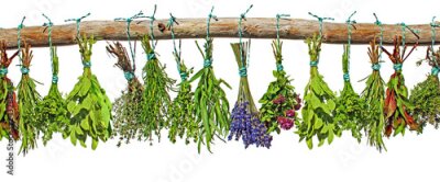 Fototapete Kräutersträuße hängen an einem Ast