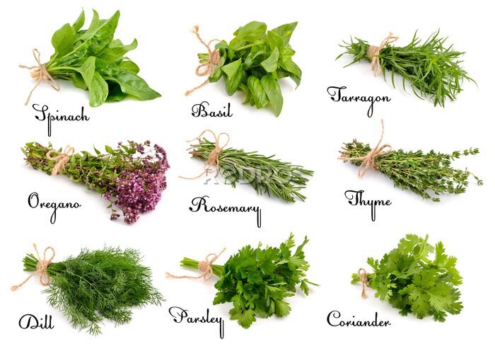 Fototapete Kräutersträuße mit englischen Namen