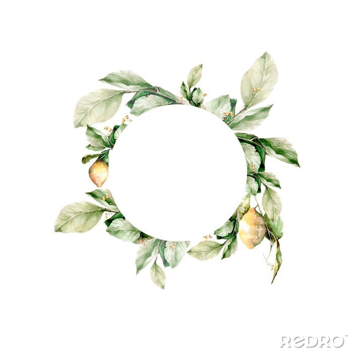 Fototapete Kranz aus Zitronenzweigen subtile Illustration