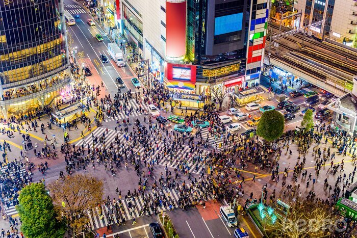Fototapete Kreuzung Shibuya in Tokio