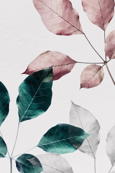 Fototapete Künstlerische Komposition der Zweige