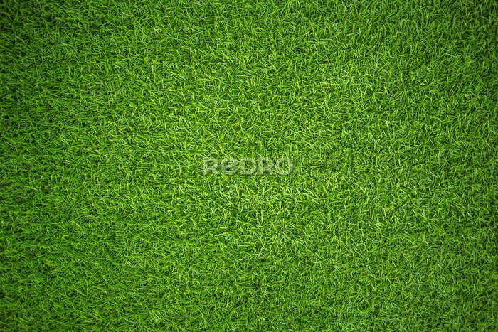 Fototapete Künstliches grünes Gras