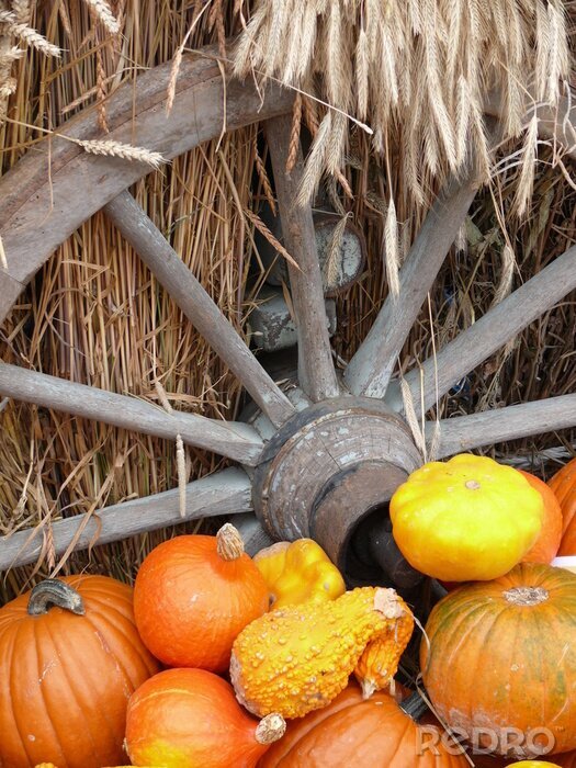 Fototapete Kürbis und Müsli
