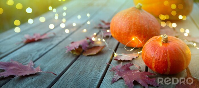Fototapete Kürbisse und Herbstblätter auf einem Waldstück